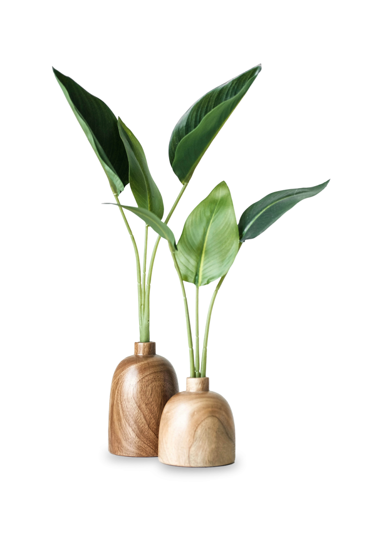 Zwei stilvolle Vasen aus Holz mit grünen Pflanzen.
